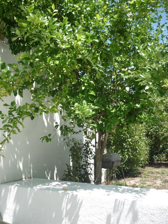 Casa Da Terra Villa Góis Oda fotoğraf